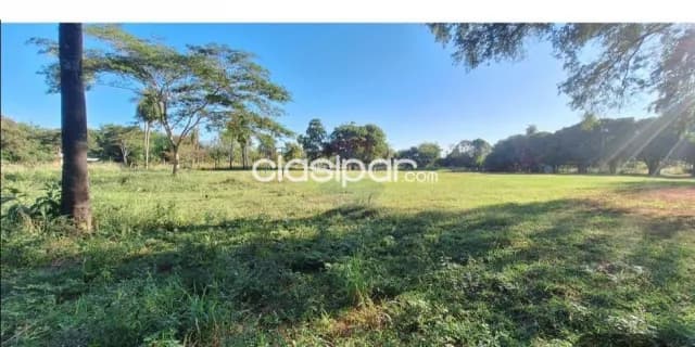 Precio Mas Bajo Terreno 2 Hectareas C4 Salidas Zona Plana Luque Boprimavera — foto 3