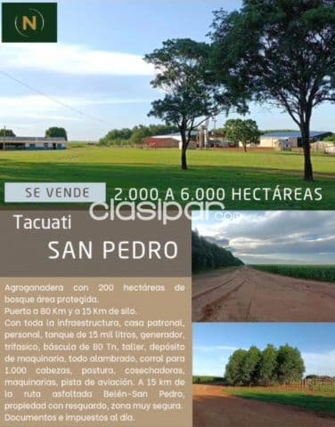 Tacuati, san pedro: 6.000 has, superficie a convenir, agro-ganadera, infraestructura