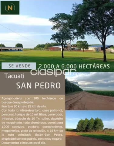 Tacuati, san pedro: 6.000 has, superficie a convenir, agro-ganadera, infraestructura — foto 2