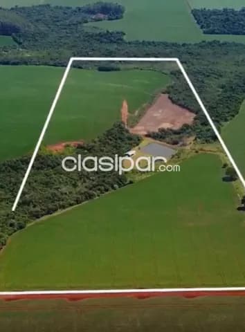 Campo Agrícola Mecanizado en Santa Fe del Paraná - 45 Ha — foto 2