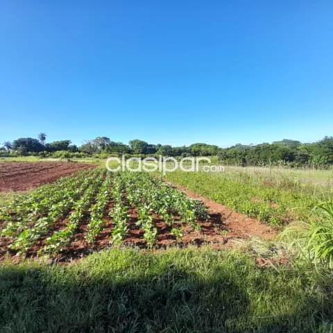 Terreno Agrícola/Ganadero en Cambyreta - 3 Ha, foto 3