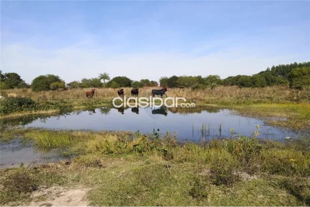En venta campo de 52 has en ybycui — foto 4