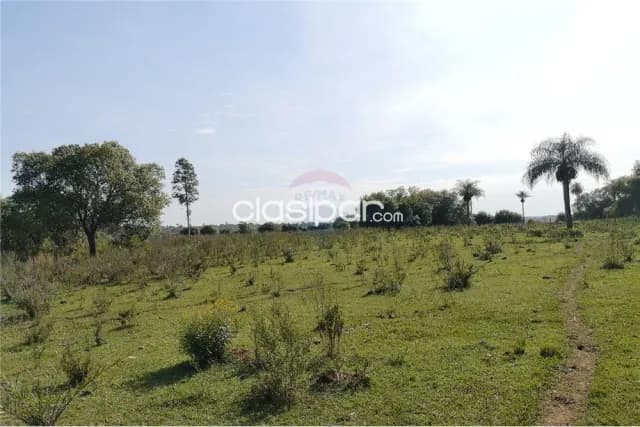 En venta campo de 52 has en ybycui — foto 5