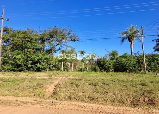 Campo Agrícola/Ganadero en Quiindy - 50 Ha — foto 2