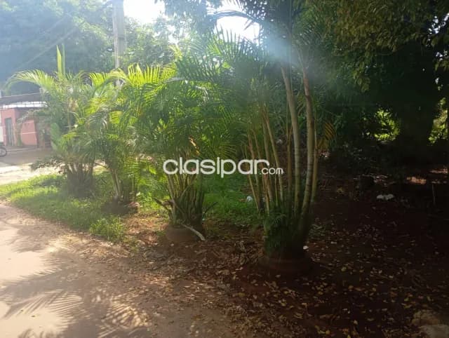 Terreno en Ciudad del Este — foto 5