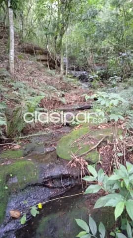 Escobar, paraguarí: 24.5 has, ideal p/ explotación turística, serranías, arroyos — foto 3