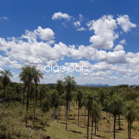 Escobar, paraguarí: 24.5 has, ideal p/ explotación turística, serranías, arroyos — foto 5