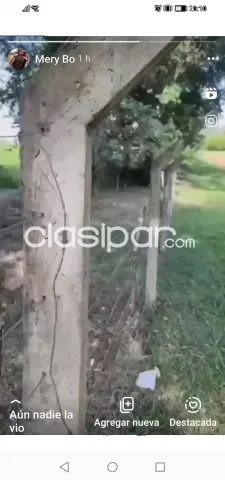 Se Vende 1 Hectarea en km 14 Minga Guazu, foto 4