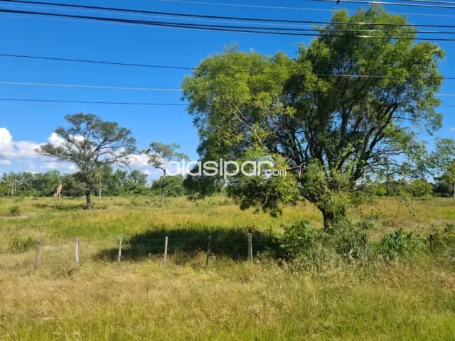 Villeta, buey rodeo: Inmejorables 100 has, p/ agro-ganadería, industrial, logística — foto 2