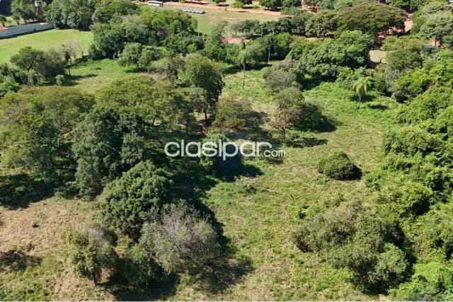 Unicoo terreno 1 hectárea en Luque zona cit-ideal para todo proyecto, foto 2