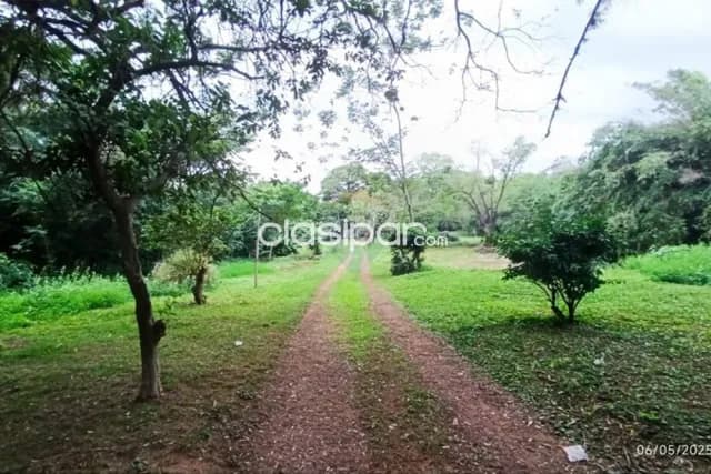 Terreno 67.805 m2-un poco mas de 6 hectarea-aregua centro a 400 mtrs de iglesia — foto 4