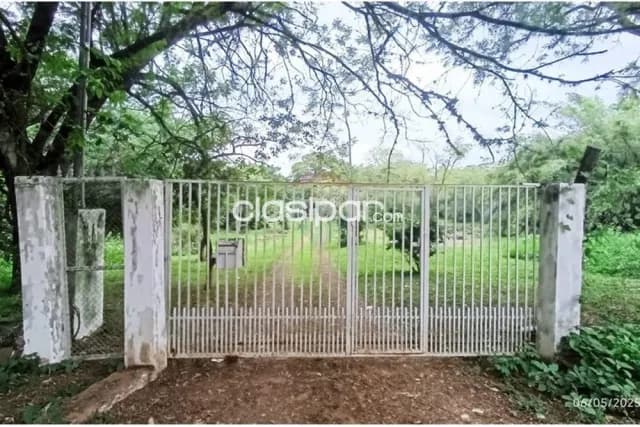 Terreno 67.805 m2-un poco mas de 6 hectarea-aregua centro a 400 mtrs de iglesia — foto 5