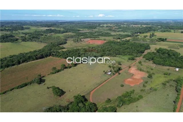 Campo 34 hectareas en cnel.bogado-dpto.itapua a 3 km de la ruta py08-ideal p/todo — foto 4