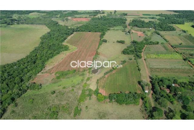 Campo 34 hectareas en cnel.bogado-dpto.itapua a 3 km de la ruta py08-ideal p/todo — foto 5