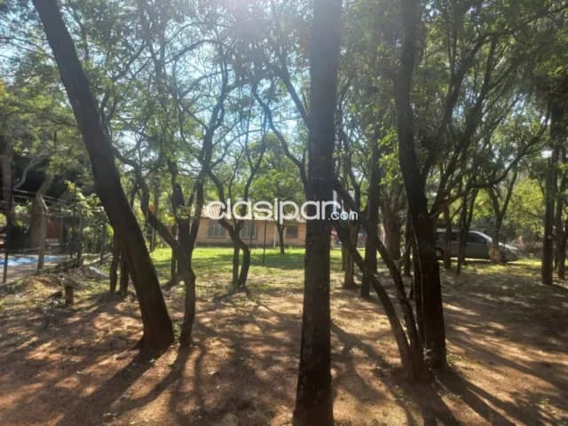 Amplio terreno sobre cristobál colón, San Bernardino, foto 4