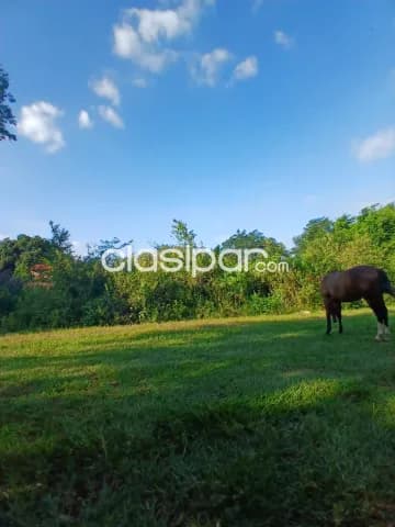 3 Lotes 12x30 Juntos en Luque, Zarate Isla - CLLA6982987 — foto 3