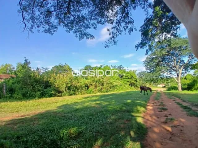 3 Lotes 12x30 Juntos en Luque, Zarate Isla - CLLA6982987 — foto 4