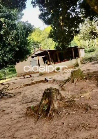 2,5 ha. Campo en acahay - cia. Arroyo verde, foto 5