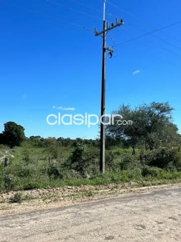 Chacoí, tosa, s/ ruta, oportunidad: 61 + 31 has aptas p/ desarrollos industriales, loteami, foto 2