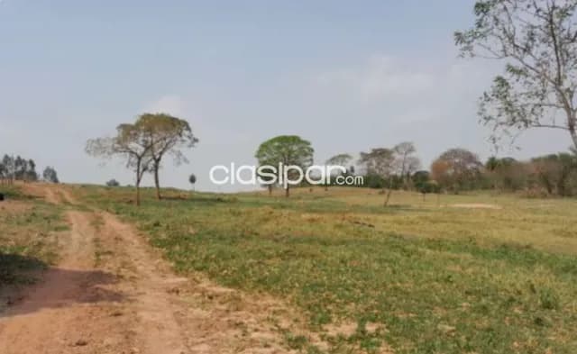 8 Lotes Juntos o Separados en Yby Yaú - Concepción, foto 5