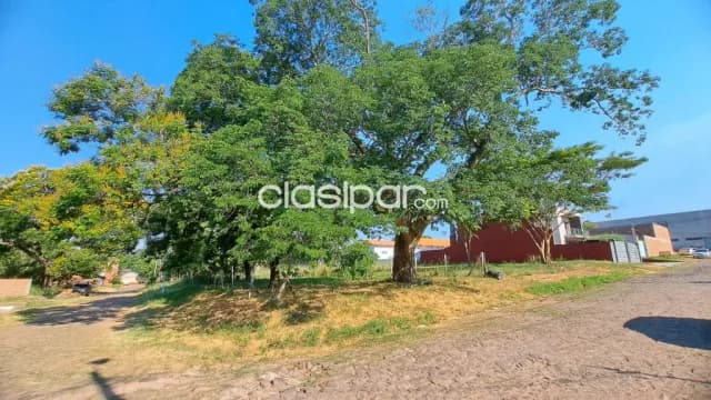 Terreno en lambare barrio villa virginia cod 5276 — foto 2