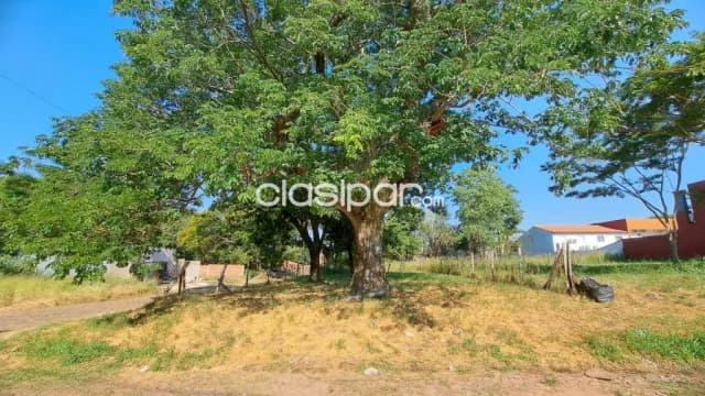 Terreno en lambare barrio villa virginia cod 5276 — foto 3