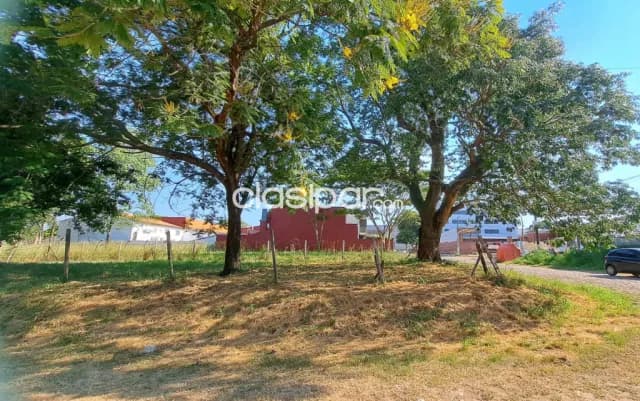 Terreno en lambare barrio villa virginia cod 5276 — foto 4
