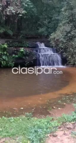 Escobar, paraguarí: 2 inigualables propiedades, 24,5has c/u, cascadas, arroyos, bosques — foto 3