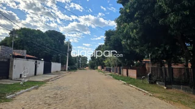 Un rincón de oro natural en Mariano Roque Alonso, foto 3