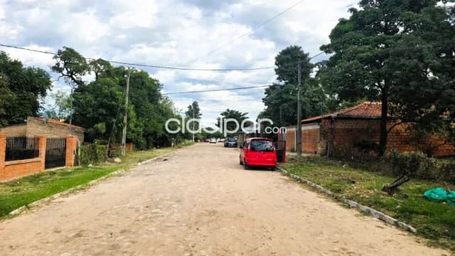 Un rincón de oro natural en Mariano Roque Alonso, foto 4
