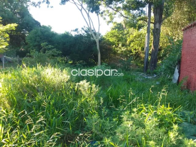 Terreno en San Lorenzo - zona acosta ñu — foto 4