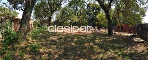 Terreno a pasos de Cacique Lambare