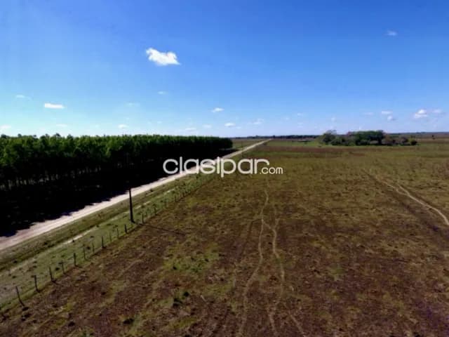 Campo Agrícola/Ganadero en Tacuaras - 470 Ha — foto 2