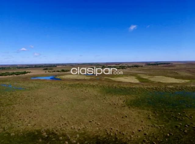 Campo Agrícola/Ganadero en Tacuaras - 470 Ha — foto 3