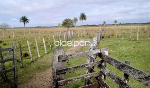 Campo Agrícola/Ganadero en Tacuaras - 470 Ha — foto 5