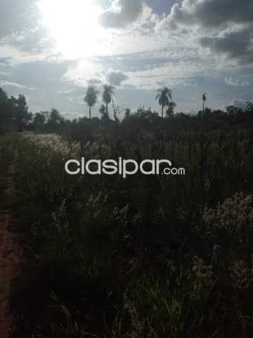 11 lotes en Santa Elena — foto 4