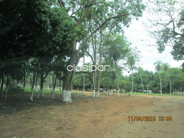 hermosos 2 terrenos en ITA especial para quinta Oferta por este mes