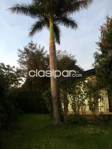 Hermosa casa en venta en Encarnación. Barrio María Auxiliadora. Encarnación, foto 3