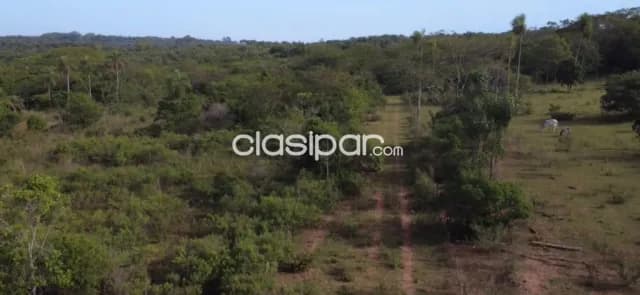 En venta amplia propiedad en nueva colombia, foto 4