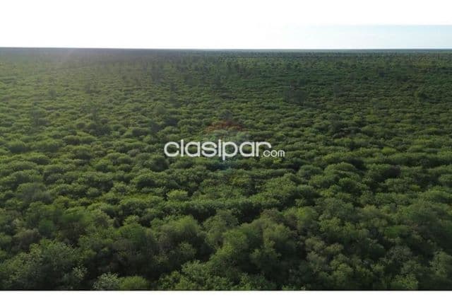En venta campo de 312 has