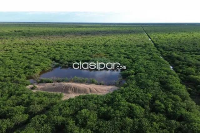 En venta campo de 312 has — foto 3