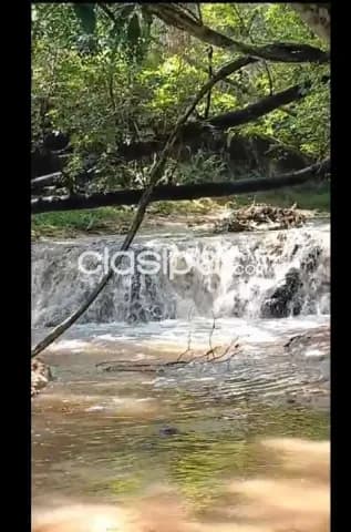 Lote en Isla Alta - Nueva Colombia, foto 5