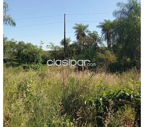 Emboscada - para lotear - ruta 3 - vendo 34 hectareas — foto 2