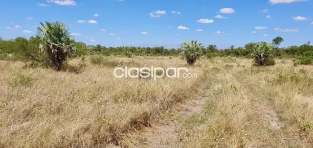 Campo Ganadero en Benjamín Aceval - 328 Ha, foto 2