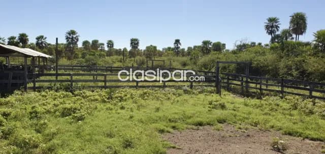 Campo Ganadero en Benjamín Aceval - 328 Ha, foto 4