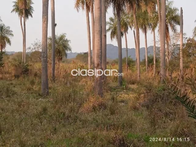En pleno escobar, paraguarí, 16,5 has s/ ruta, p/ loteamientos, quinta, ecoturismo, foto 4