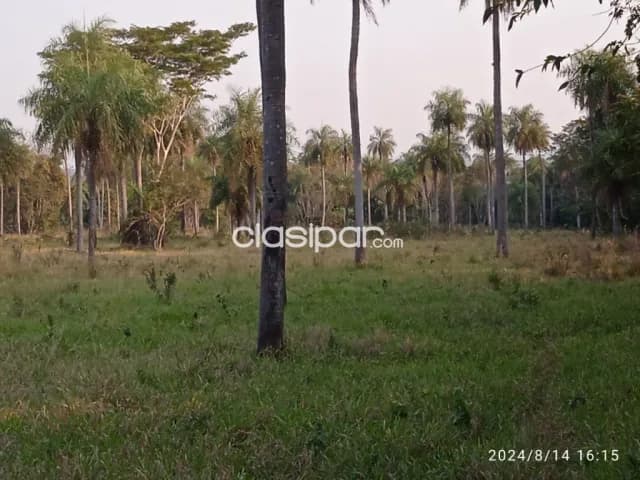 En pleno escobar, paraguarí, 16,5 has s/ ruta, p/ loteamientos, quinta, ecoturismo, foto 5