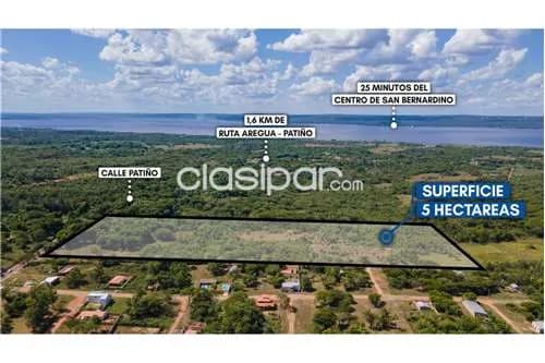 En venta importante terreno de 5 HECTÁREAS en Itauguá — foto 4