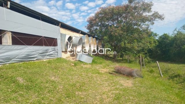 Establecimiento industrial avícola ubicado en pedrozo entre caacupe y pirayu
