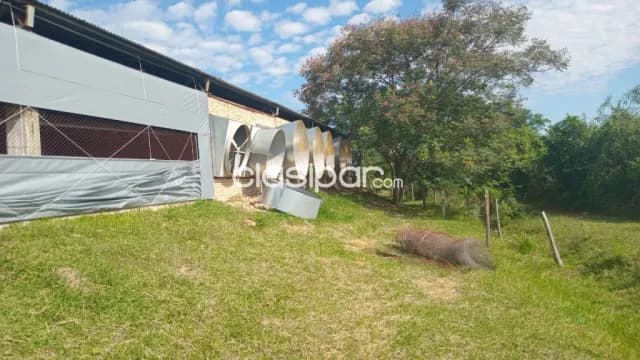 Establecimiento industrial avícola ubicado en pedrozo entre caacupe y pirayu, foto 2